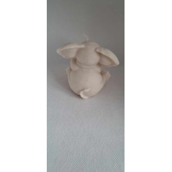 Nr 110