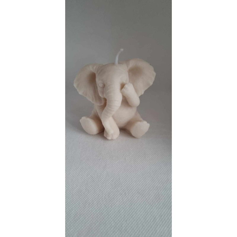 Nr 111 Nr 111