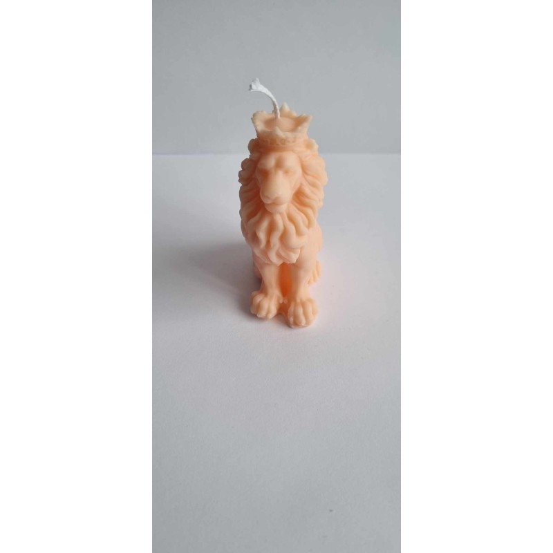 Nr 40 Nr 40